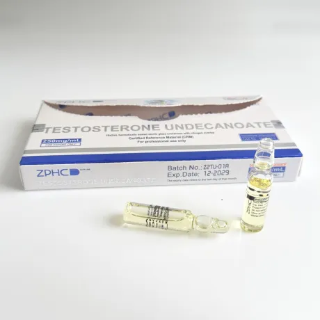 Фото 2 - Тестостерон Ундеканоат ZPHC (Testosterone Undecanoat 250mg/ml) 500мг 2мл в ампуле