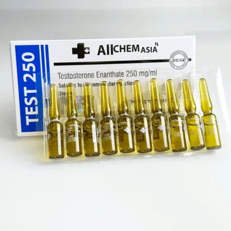 Фото 3 - Тестостерон Энантат Алчем (TEST 250 Allchem) 250мг 1мл