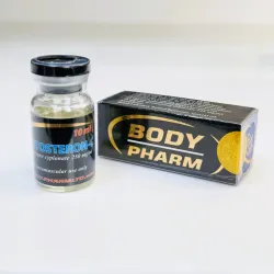 Тестостерон Ципионат БодиФарм (Testosteron-C BodyPharm) 200мг 10мл