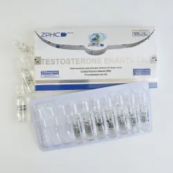 Testosterone Enanthate ZPHC 500мг (Тестостерон Энантат ампулы) 250мг 2мл